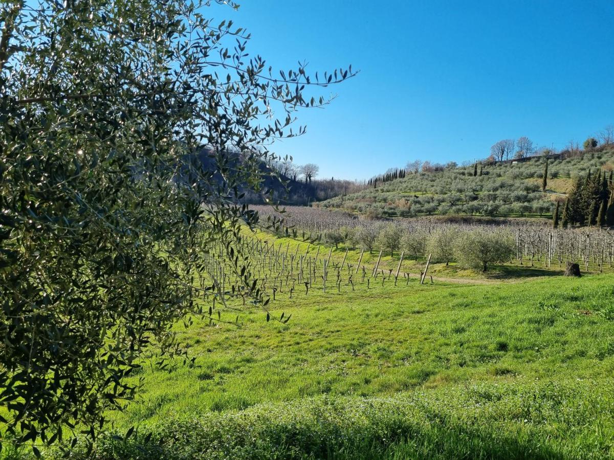 Walkandrace Sant'Agata  Kültér fotó